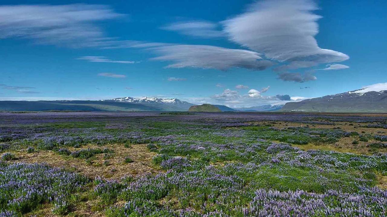 Hotel Selja Hvolsvöllur Eksteriør bilde